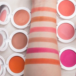 Wholesale best blush powder private label